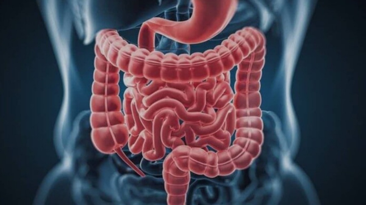 شیوع مشکلات گوارشی در دوران یائسگی