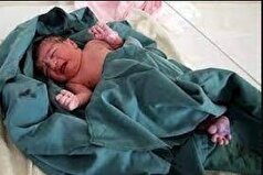 تولد نوزاد ۴ کیلو و ۶۰۰ گرمی در جاسک