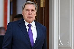 کرملین برخی از نکات طرح آمریکا برای اوکراین را بحث‌برانگیز خوانده است.