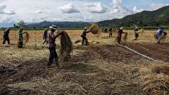 تهدید امنیت غذایی منطقه با احداث معادن طلا و عناصر نادر خاکی