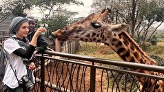 برنامه‌ریزی برای یک سفر خاطره‌انگیز به سه مقصد رؤیایی سافاری در کنیا، تانزانیا و اوگاندا