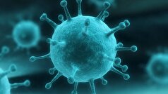 تهاجمی شدن ویروس آنفولانزا در کردستان