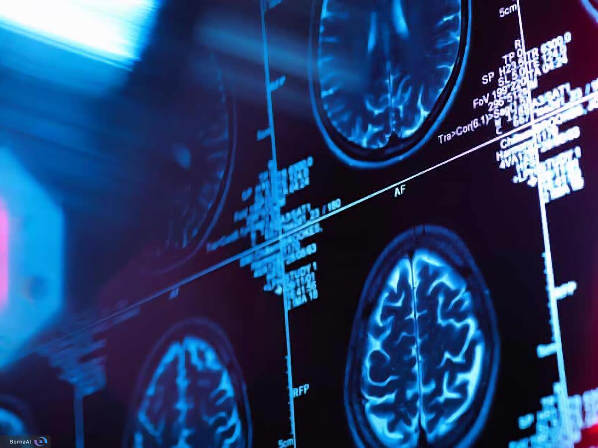 مغز از کودکی تا پیری دارای پنج مرحله اصلی است!