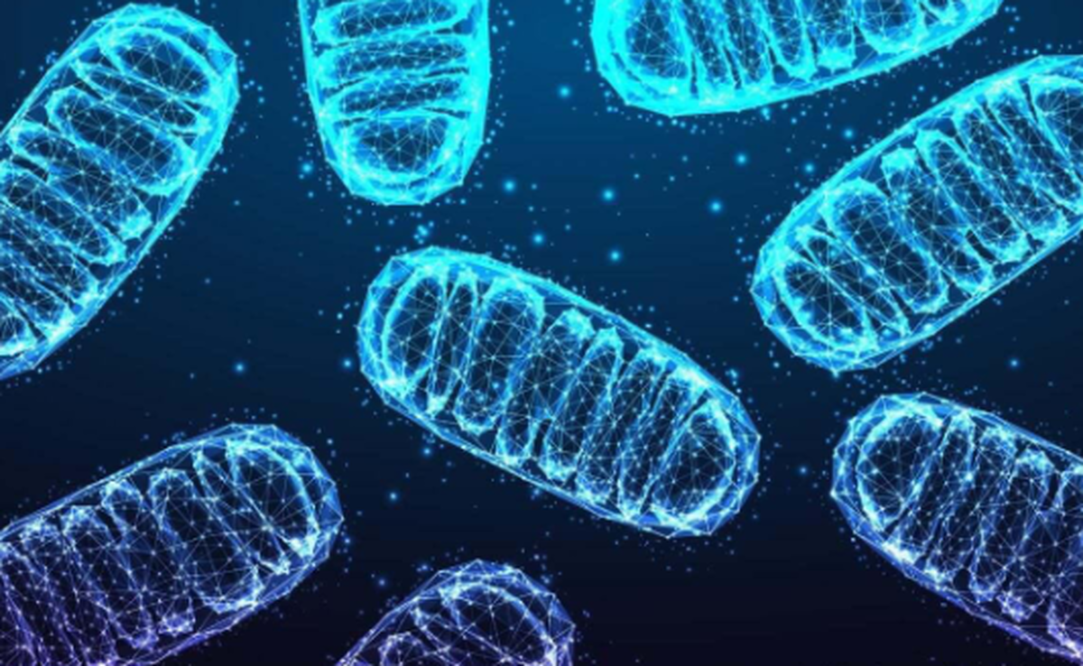 نوع جدیدی از آسیب DNA که در میتوکندری شناسایی شد!