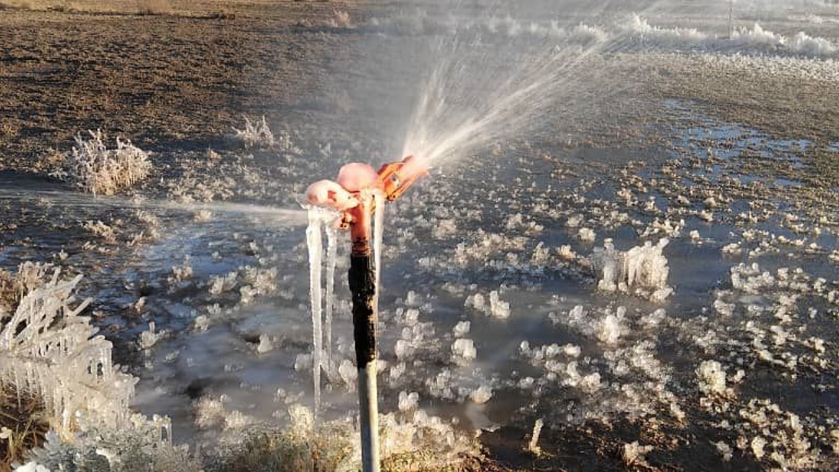 پشتکوه چهارمین شب یخبندان را پشت سر گذاشت؛ سردترین نقطه سیستان و بلوچستان با دمای منفی ۵ درجه