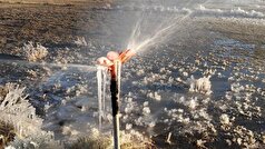 پشتکوه چهارمین شب یخبندان را پشت سر گذاشت؛ سردترین نقطه سیستان و بلوچستان با دمای منفی ۵ درجه