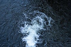 دانشمندان می‌گویند بیش از ۸۰ درصد مرجان‌های اقیانوسی ممکن است ناپدید شوند.