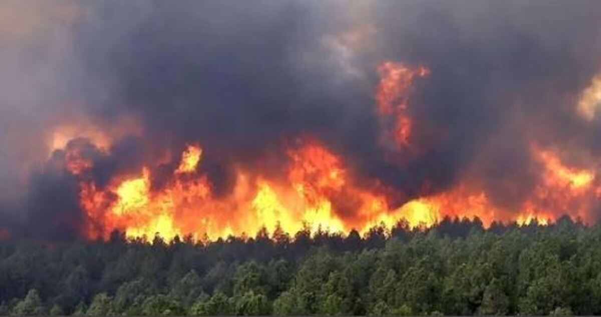 یک جرقه، یک فاجعه/ هشدار درباره افزایش آتش‌سوزی در جنگل‌ها و مراتع