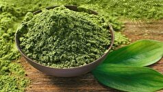 از این گیاه خوش رنگ و معجزه آسا برای درمان این مشکل کبدی کمک بگیرید