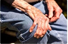 پای مرغ برای مفاصل معجزه نمی‌کند!