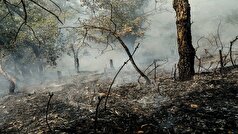 پایان آتش سوزی در گلستان؛ گروه‌های پایش همچنان حاضر در منطقه