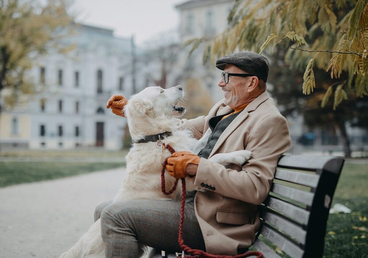 مطالعه: پیوند بین سگ‌ها و صاحبانشان برای سلامتی مفید است