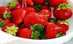 سرکه توت فرنگی را با ۳ قلم مواد اولیه آماده کنید