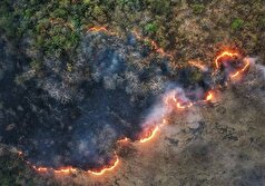 چرا خاموش کردن آتش جنگل‌های هیرکانی دیر جدی گرفته شد؟