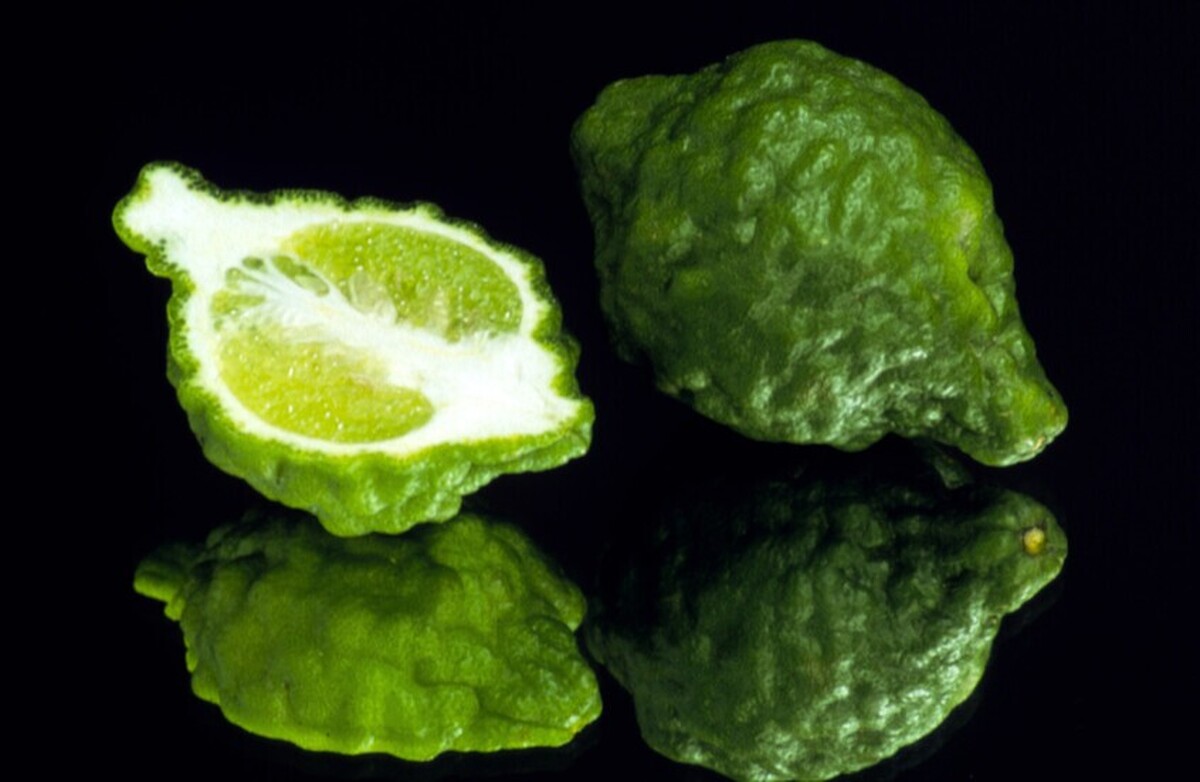 میوه‌ای که با چاقی و کبد چرب مبارزه می‌کند