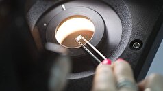 وزارت دارایی روسیه به تلاش‌های غرب برای محدود کردن تجارت الماس اشاره کرد.