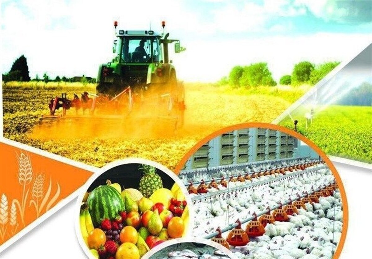 برگزاری همایش بین‌المللی سرمایه‌گذاری به تقویت امنیت غذایی منجر می‌شود