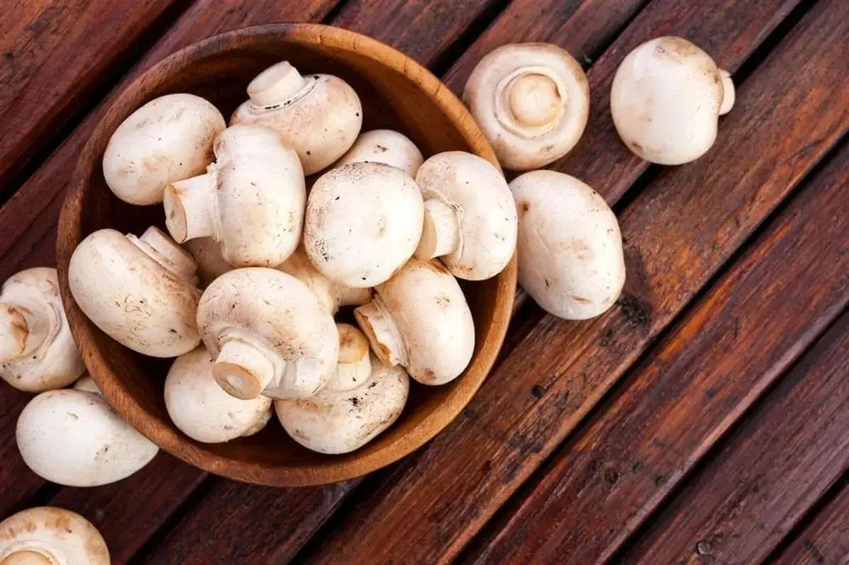 مصرف قارچ چه تاثیری بر سلامتی دارد؟