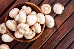 مصرف قارچ چه تاثیری بر سلامتی دارد؟