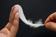 مکانیسم لمس و یادآوری آن در مغز انسان چگونه است؟