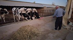 کرگلین؛ روستایی که با مدیریت نوین، کشاورزی و دامداری را دوباره جان بخشید