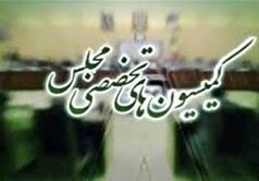 تفحص از عملکرد دستگاه‌ها درباره قاچاق سوخت و تحقیق از دو پتروشیمی در مجلس