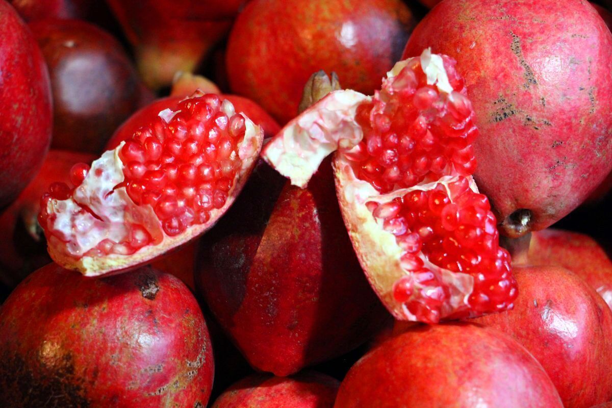انار ایران کاملا ارگانیک و بدون سم تولید می‌شود