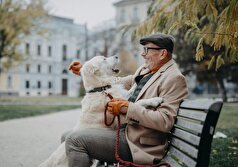 مطالعه: پیوند بین سگ‌ها و صاحبانشان برای سلامتی مفید است