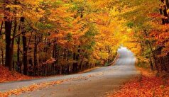 کاهش دمای هوای از اواسط هفته آینده/ از برافروختن آتش در مناطق جنگلی گیلان خودداری شود