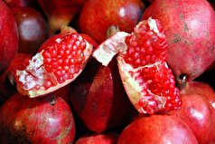 انار ایران کاملا ارگانیک و بدون سم تولید می‌شود