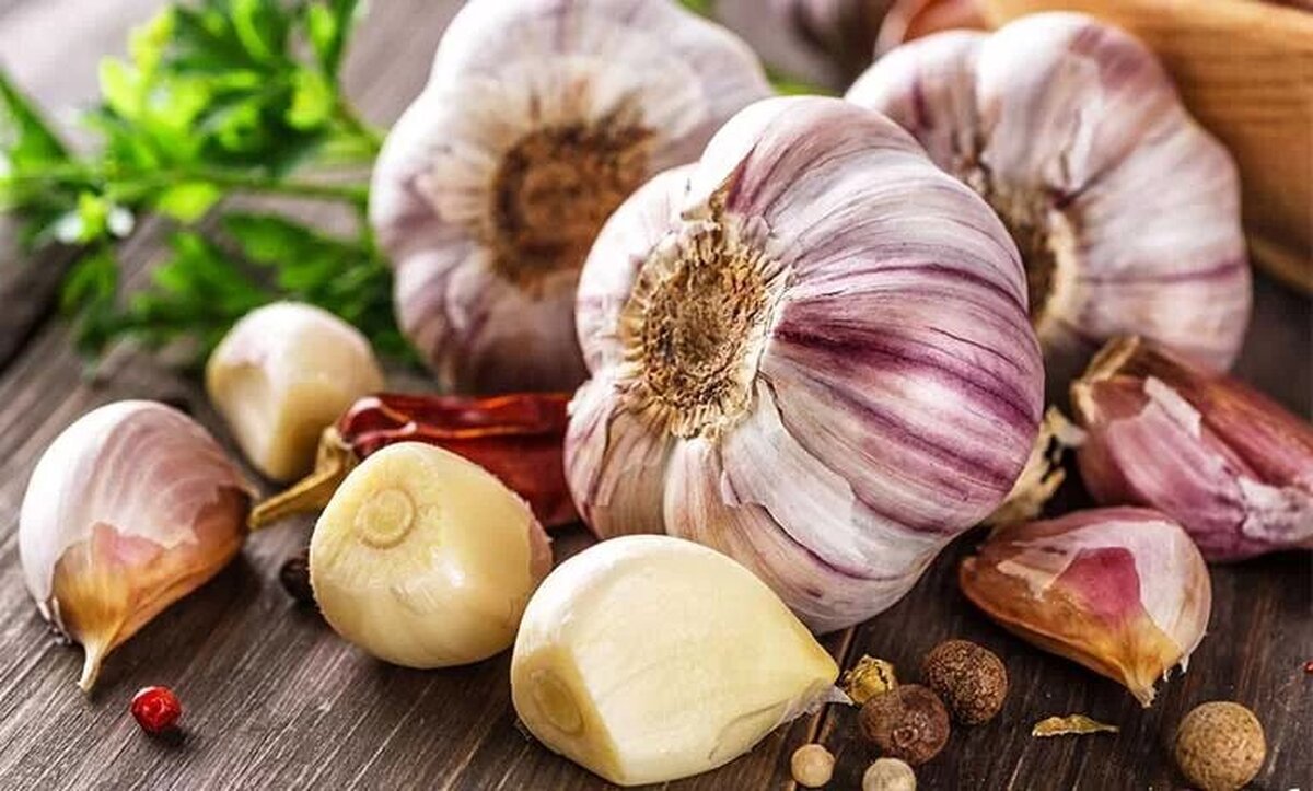 بررسی علمی تأثیر مصرف سیر خام ناشتا بر کاهش وزن