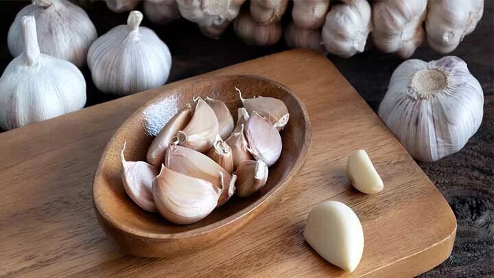 بررسی علمی تأثیر مصرف سیر خام ناشتا بر کاهش وزن