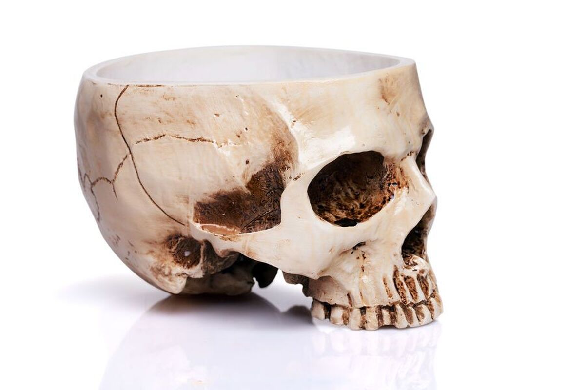 آکسفورد دهه‌هاست که در شام‌های رسمی از جمجمه انسان نوشیدنی می‌نوشد.