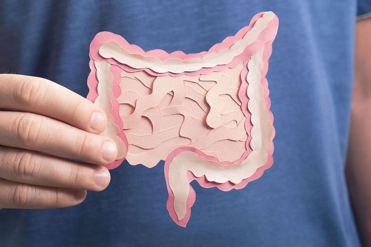 دانشمندان کشف کرده‌اند که چگونه باکتری‌های روده می‌توانند با سرطان مبارزه کنند.