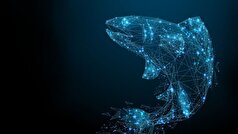 قابلیت جدید هوش مصنوعی به نفع ماهی‌های سالمون تمام شد!