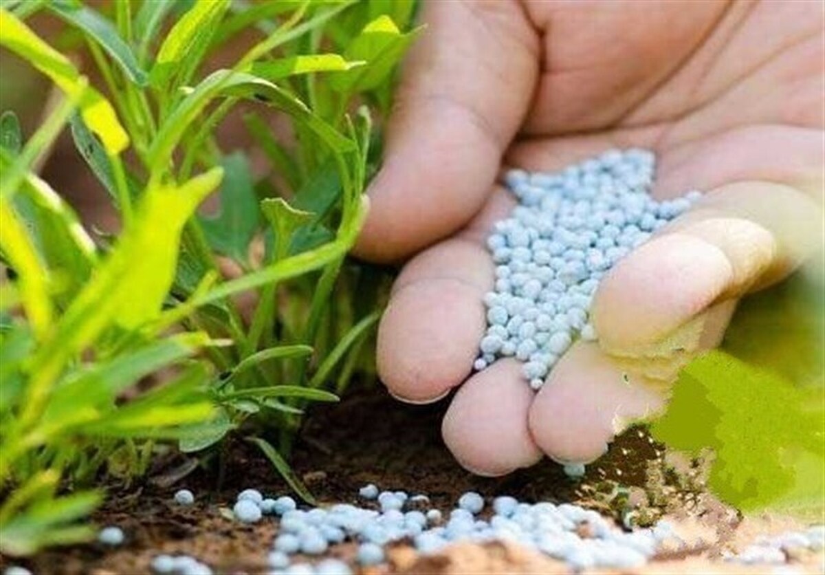 کشف ۸ تن کود شیمیایی قاچاق در میاندورود؛ ۳ متهم دستگیر شدند