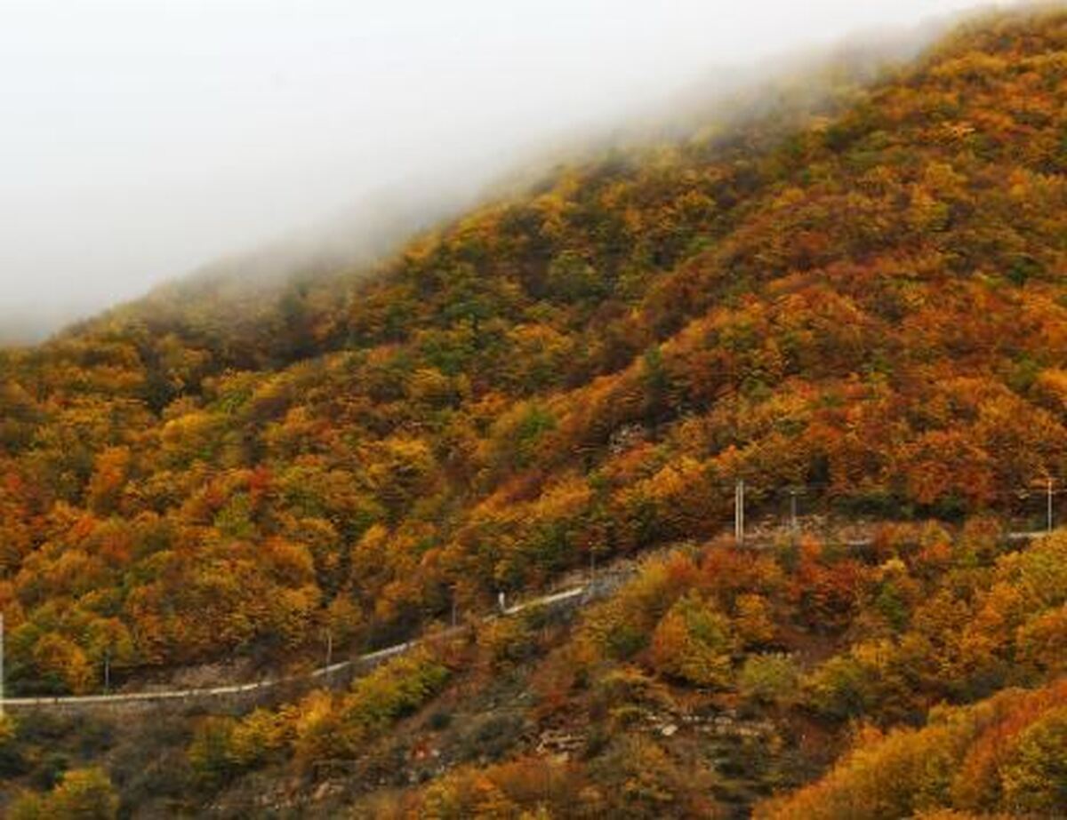 جاده چالوس یکی از کلاسیک‌ترین مسیر‌های ایران که پاییز حال و هوای متفاوتی به خود می‌گیرد!