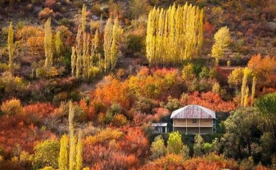 جاده چالوس یکی از کلاسیک‌ترین مسیر‌های ایران که پاییز حال و هوای متفاوتی به خود می‌گیرد!