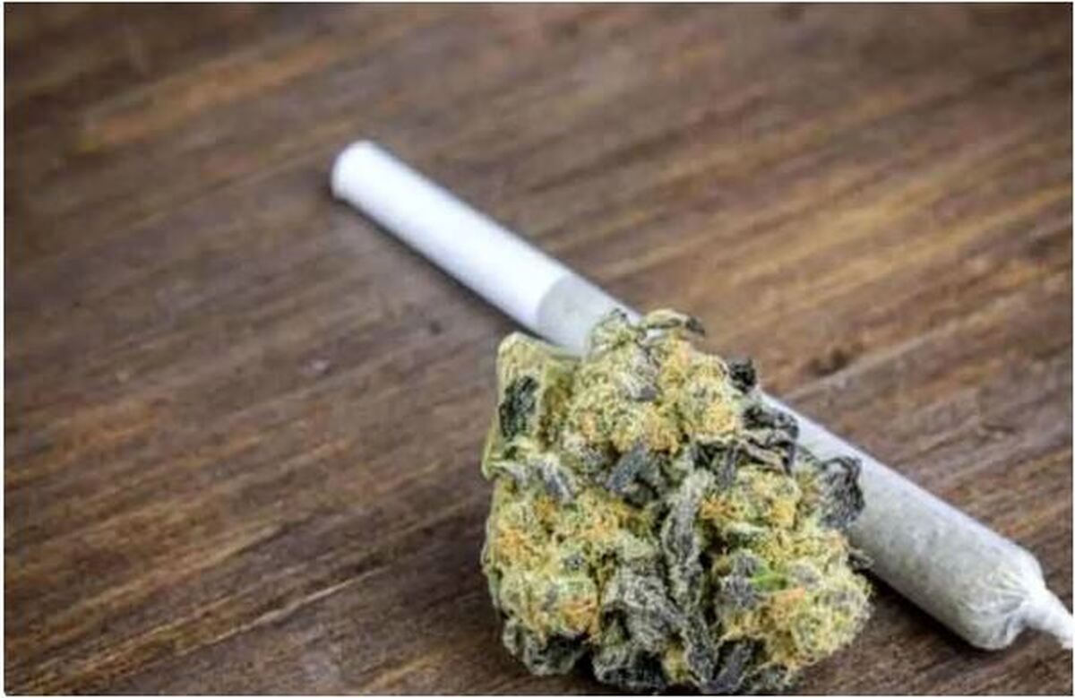 گسترش وحشتناک مخدر «گل» در میان جوانان ایران و ساده انگاری اثرات مخرب آن