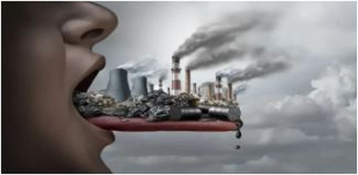 نوشیدنی و مواد غذایی مفیدی که در روز‌های آلودگی هوا به سم زدایی بدن کمک می‌کنند