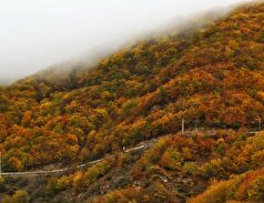 جاده چالوس یکی از کلاسیک‌ترین مسیر‌های ایران که پاییز حال و هوای متفاوتی به خود می‌گیرد!