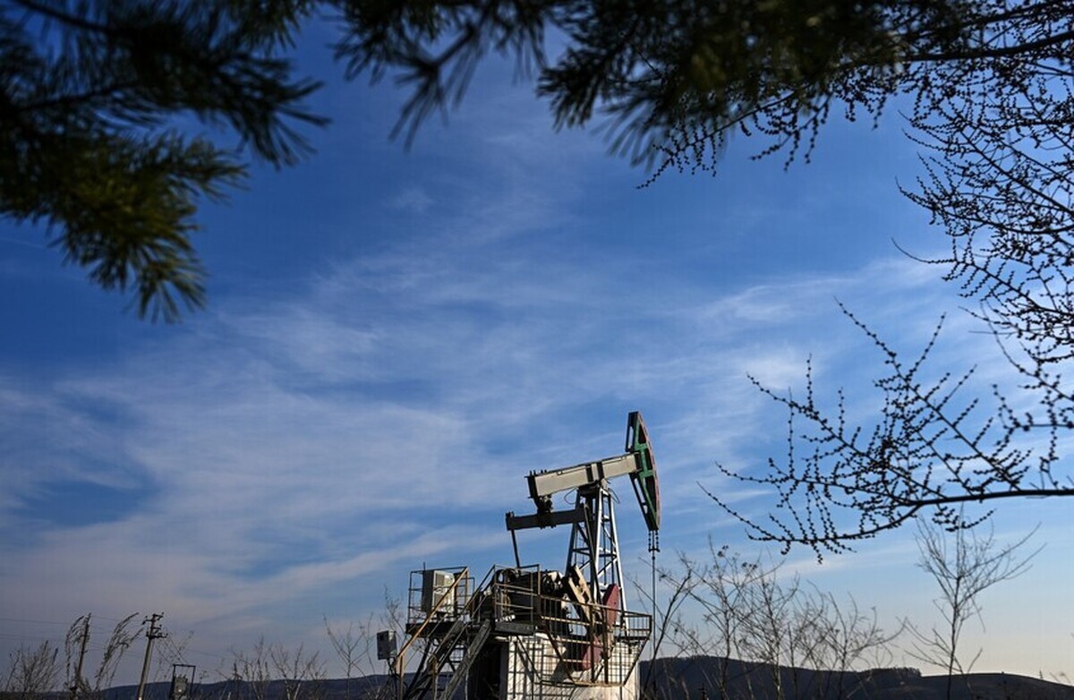 روسیه از ابتدای سال بیش از ۲۰۰ ذخیره جدید منابع زیرزمینی را ثبت کرده است