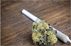 گسترش وحشتناک مخدر «گل» در میان جوانان ایران و ساده انگاری اثرات مخرب آن