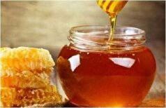 باور‌های مصرف عسل در دوران بارداری و تاثیر آن بر سلامت جنین حقیقت دارد؟