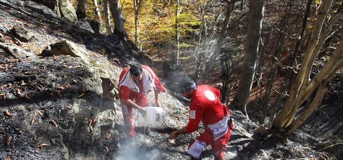 آتش‌سوزی دوباره جنگل‌های کارمزد سوادکوه مهار شد