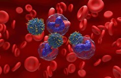 یک ترکیب طبیعی امیدوارکننده، امکاناتی را برای درمان یکی از خطرناک‌ترین انواع سرطان خون (لوسمی) فراهم می‌کند