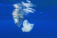 دگرگونی قوانین شیلات، کشتیرانی و مدیریت بنادر در اروپا