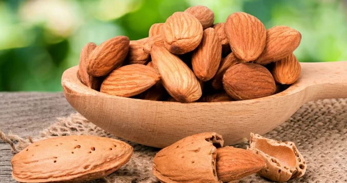 تحقیقات جدید، این افسانه که بادام برای کاهش وزن مضر است را رد می‌کند.