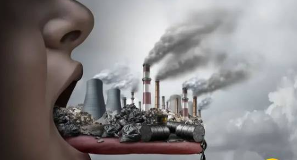 غذا‌هایی شامل آنتی اکسیدان اثر آلاینده‌ها را خنثی میکنند!