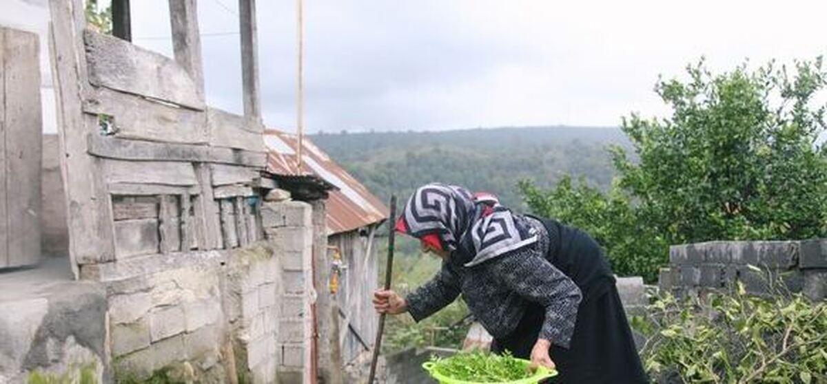 شیوع بالای «سالمند آزاری»/ هشدار؛ سوءبرداشت‌ها از «لوس شدن سالمندان»